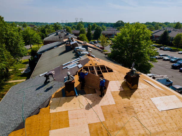 Trusted Storm Damage Roof Repair service in Port Elizabeth, NJ - Brentwood Metal Roofing